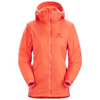 DAMEN JACKE  ATOM LT HOODIE