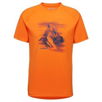 HERREN T-SHIRT HÖRNLIGRAT