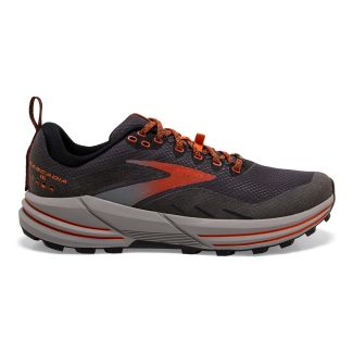 HERREN TRAILRUNNINGSCHUHE CASCADIA 16 GTX