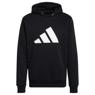 HERREN FUTURE ICONS WINTERIZED HOODIE