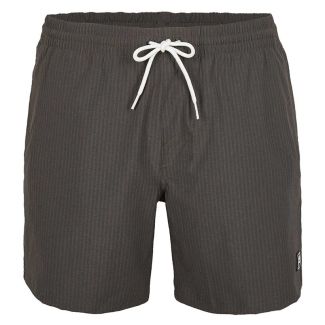 HERREN BADESHORTS VERT