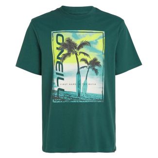 Herren T-Shirt O'Neill Neon