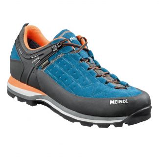 Herren Wanderschuhe flach Literock Gore-Tex 