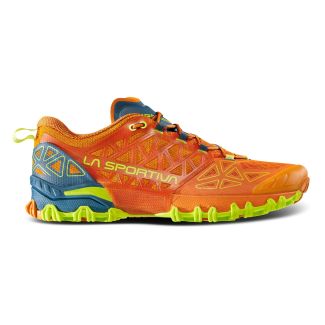 Herren Trailrunningschuhe Bushido II 