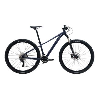 Damen Gravel Bike Tempt 1 