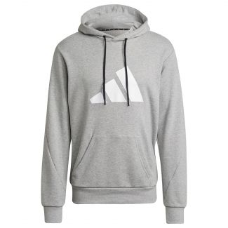 HERREN HOODIE FUTURE ICONS LOGO GRAPHIC