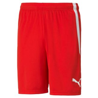 Herren Fussballhose kurz TeamLIGA