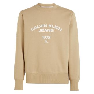 HERREN SWEATSHIRT VARSITY CURVE