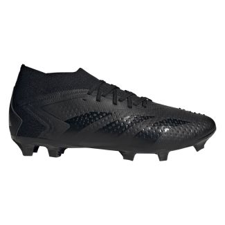 HERREN FUßBALLSCHUHE PREDATOR ACCURACY.2 FG