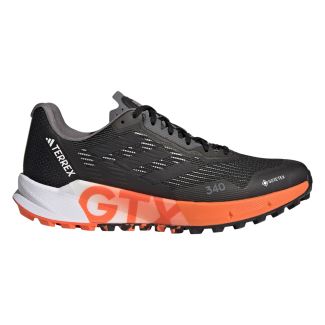 Herren Trailrunningschuhe Terrex Agravic Flow 2 Gore-Tex 