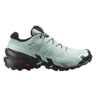 DAMEN TRAILRUNNINGSCHUHE SPEEDCROSS 6 GTX 