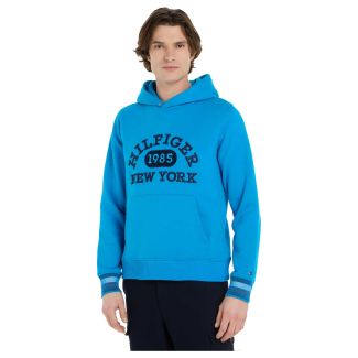 Herren Hoodie Monotype Collegiate