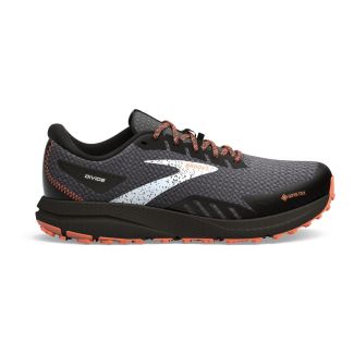 HERREN TRAILRUNNING-SCHUHE DIVIDE 4 GTX
