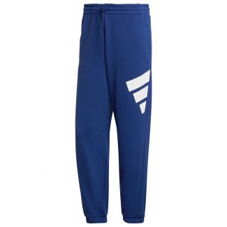 HERREN TRAININGSHOSE FUTURE ICONS 3B