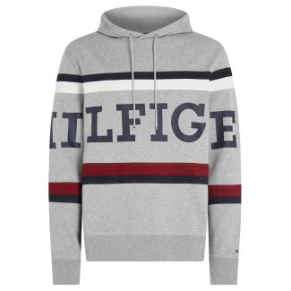 HERREN HOODIE GLOBAL STRIPE MONOTYPE