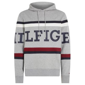 Herren Hoodie Global Stripe Monotype