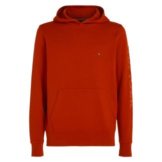 HERREN HOODIE MONOTYPE 