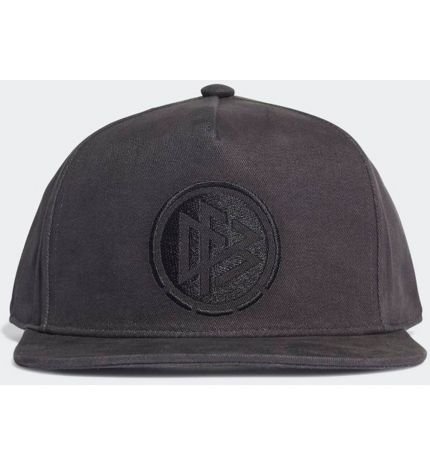 HERREN CAP DFB SNAPBACK