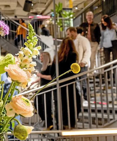 Trend Reischmann in Kempten