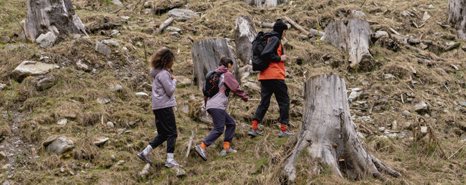 Entdecke adidas Terrex Outdoor- und Wanderbekleidung